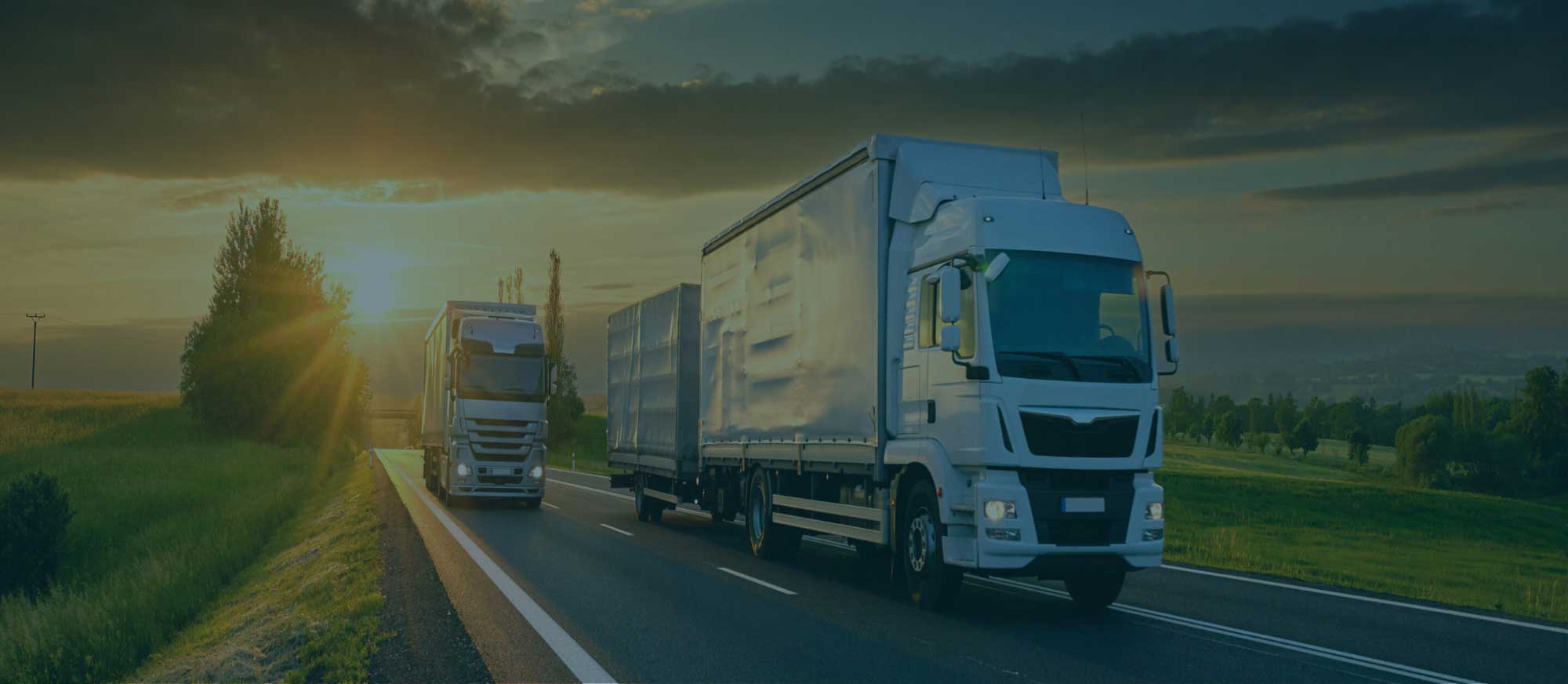 Strongest distribution network